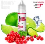 Adam´s Vape S&V aróma 12ml - Lime Currant