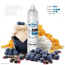 Adam´s Vape S&V aróma 12ml - Blueberry Serious