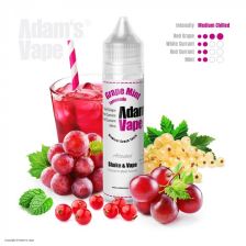 Adam´s Vape S&V aróma 12ml - Grape Mint Lemonade