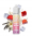 Just Juice BAR S&V aróma 12ml - Fruity Vanilla "A"